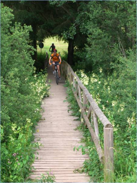 Bike Tour 06 054